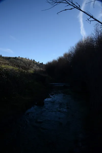 DSC_1075 (Large).JPG